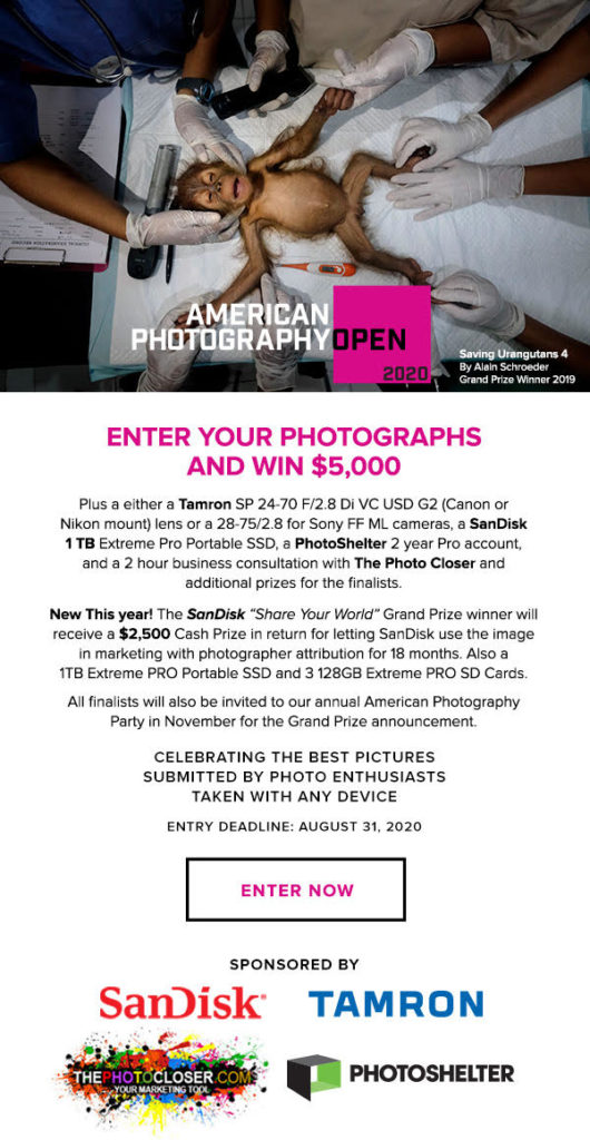 American Photography Open 2020